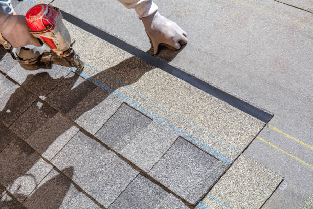 Best Roof Gutter Cleaning  in Monroe, WA